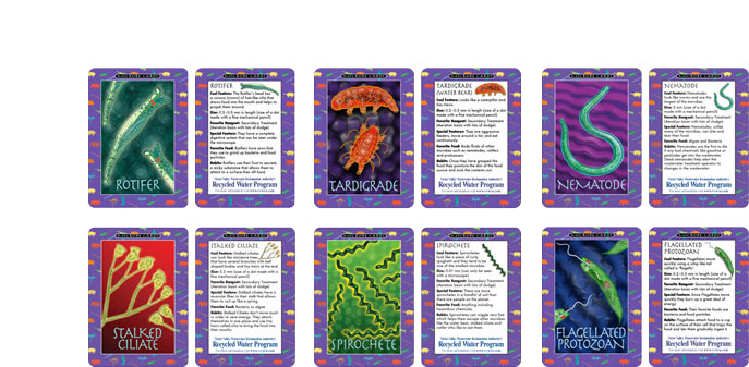 VVWRA Trading Cards